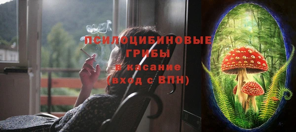 ПСИЛОЦИБИНОВЫЕ ГРИБЫ Кукмор