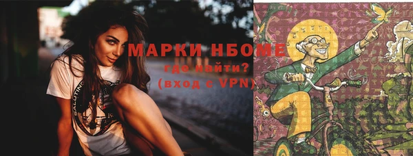 ПСИЛОЦИБИНОВЫЕ ГРИБЫ Кукмор